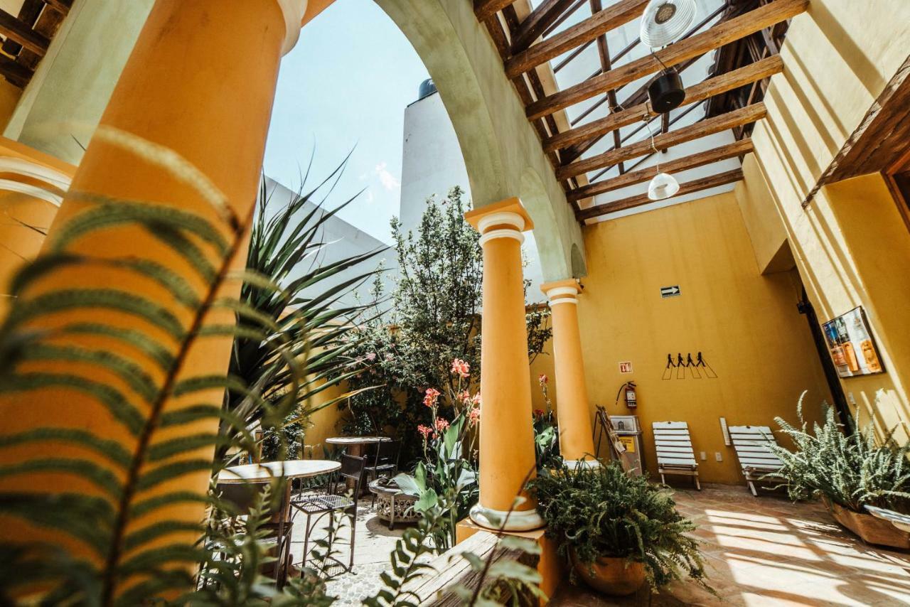 San Cristóbal de Las Casas Snail Bed & Breakfast (Adults Only) المظهر الخارجي الصورة